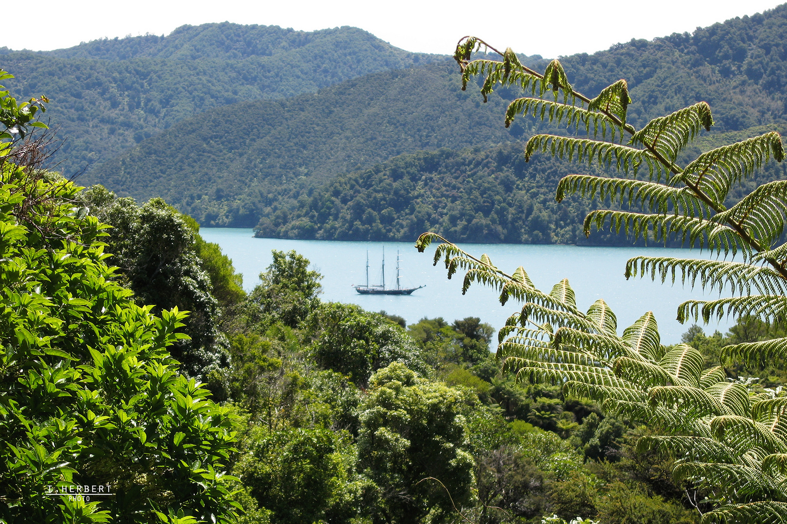 Segelyacht, Queen Charlotte Sound