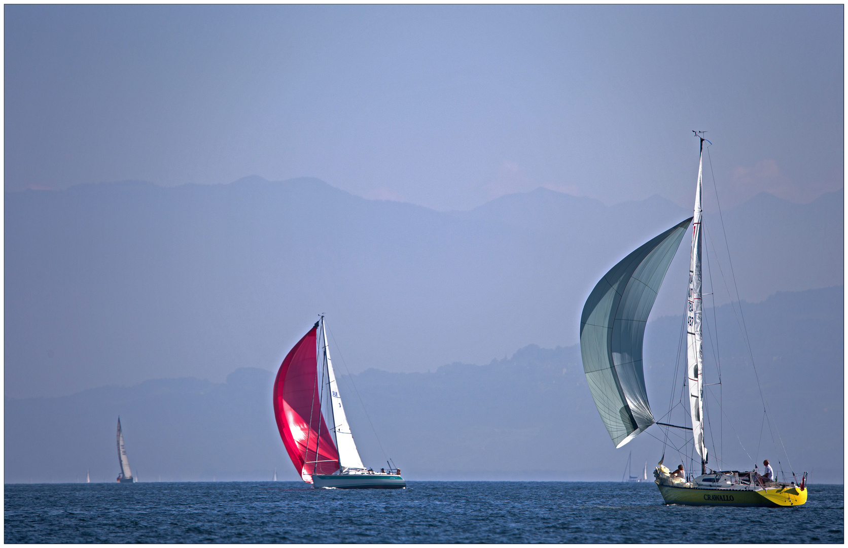 Segelyachten auf dem Bodensee