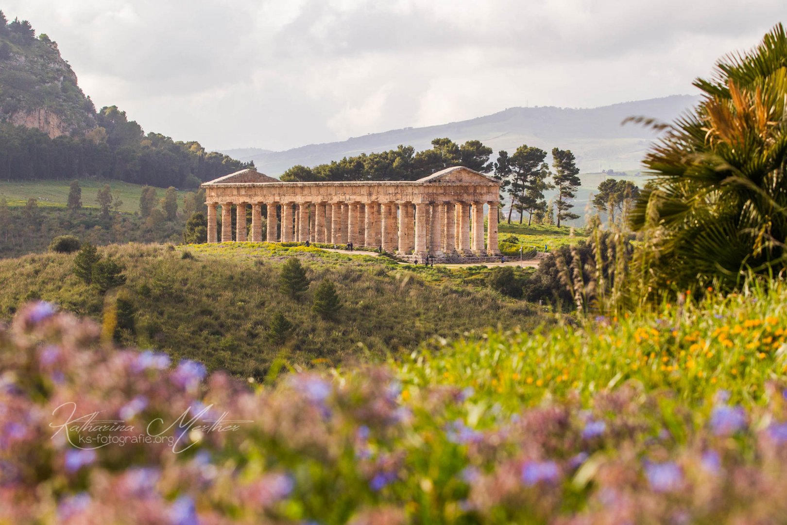 Segesta