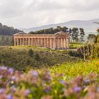 Segesta