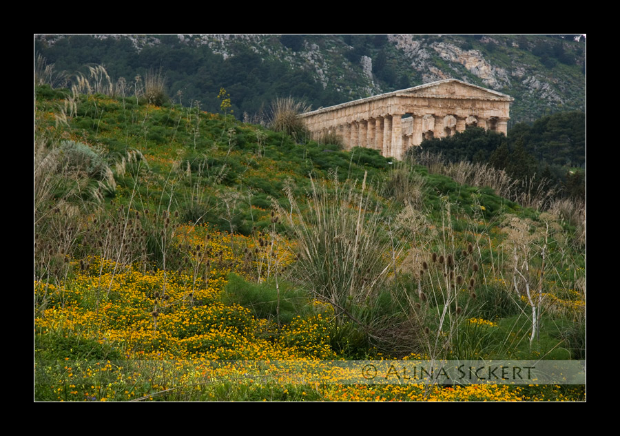 SEGESTA