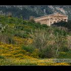 SEGESTA