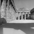 Segesta 