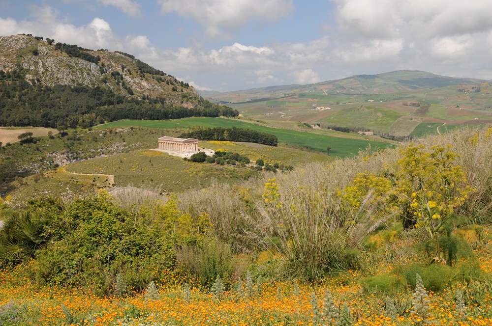 Segesta -malerisch und einsam....