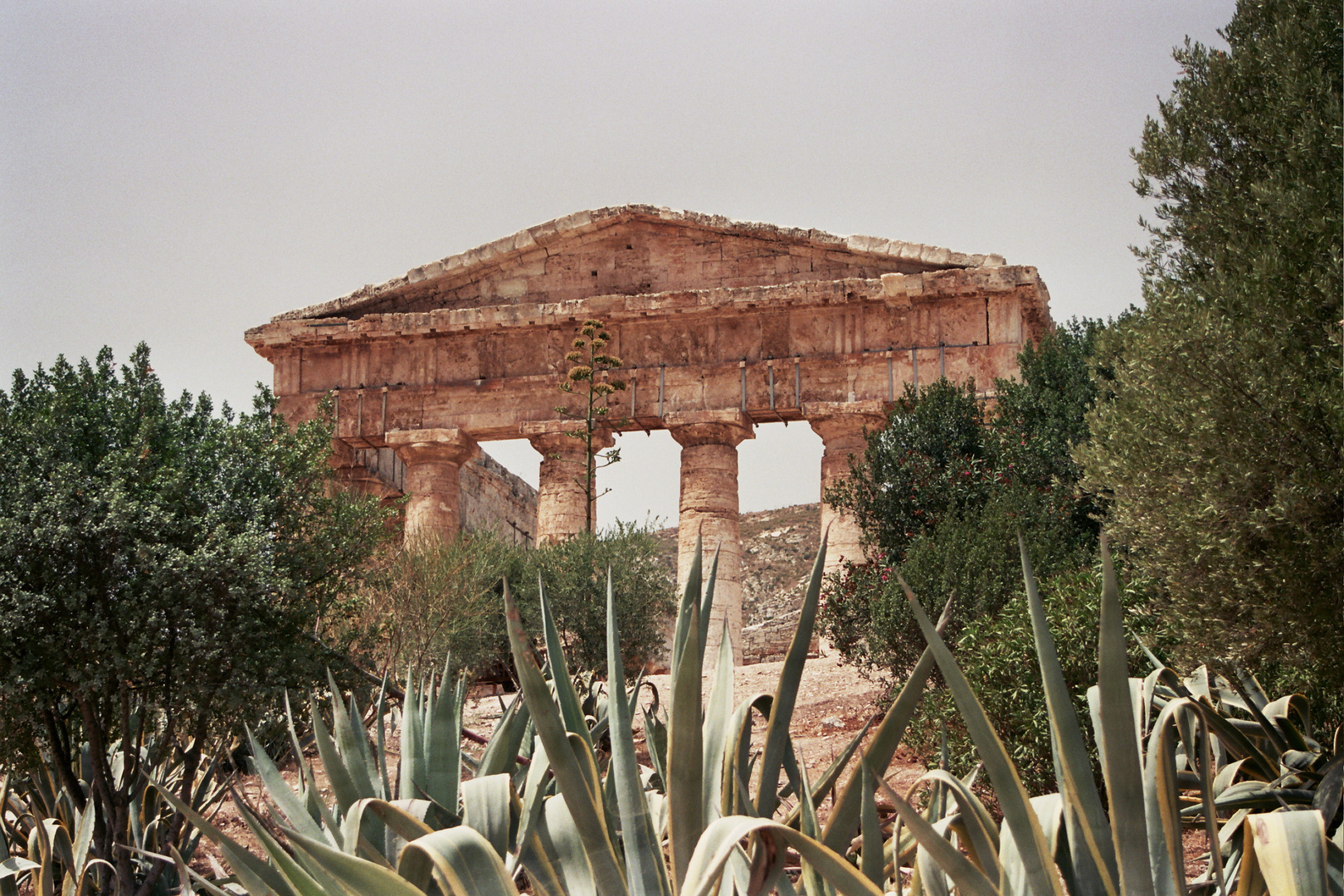 Segesta (Trapani) agosto 1999