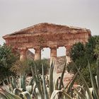 Segesta (Trapani) agosto 1999