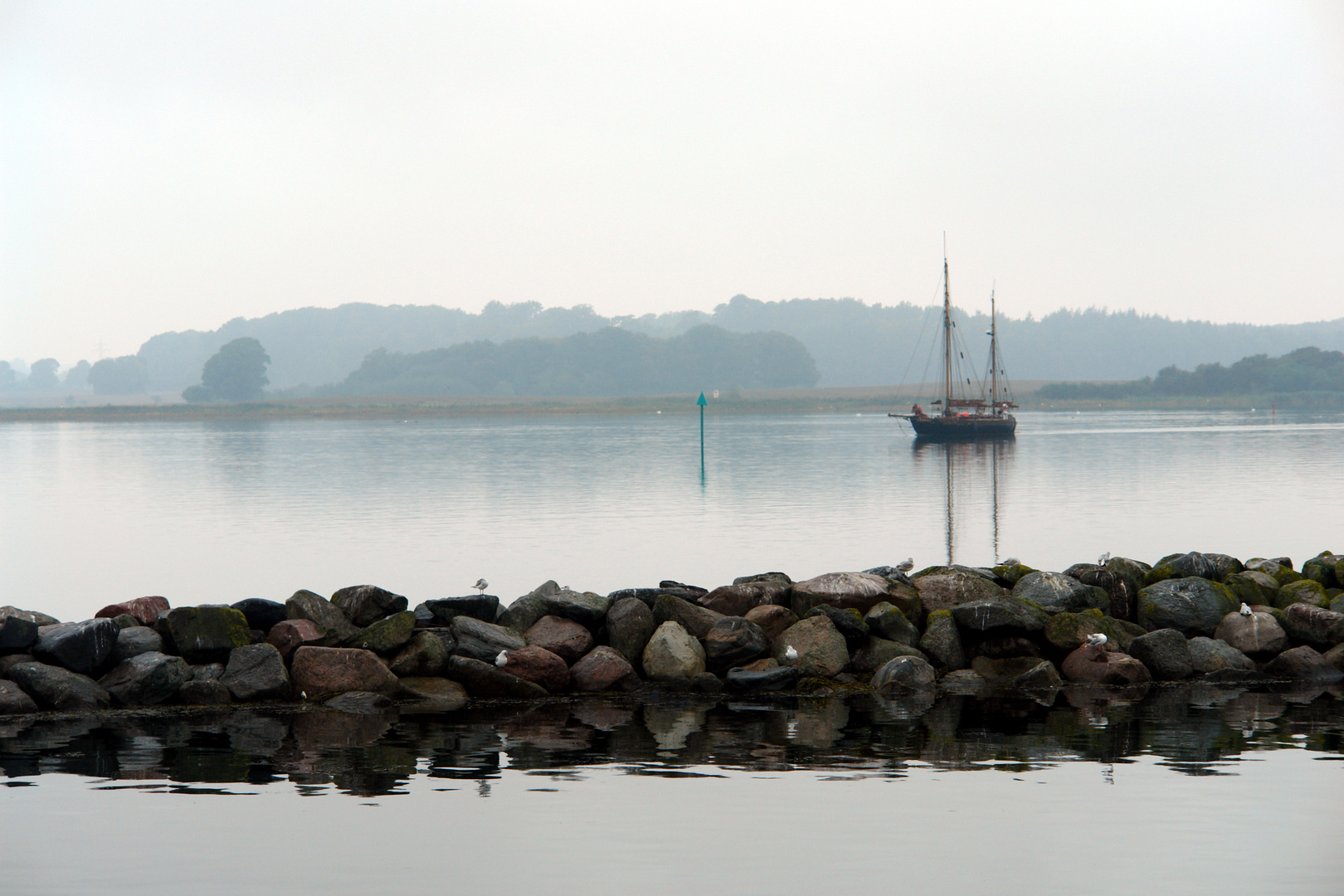 Segler am Hafen von Maasholm