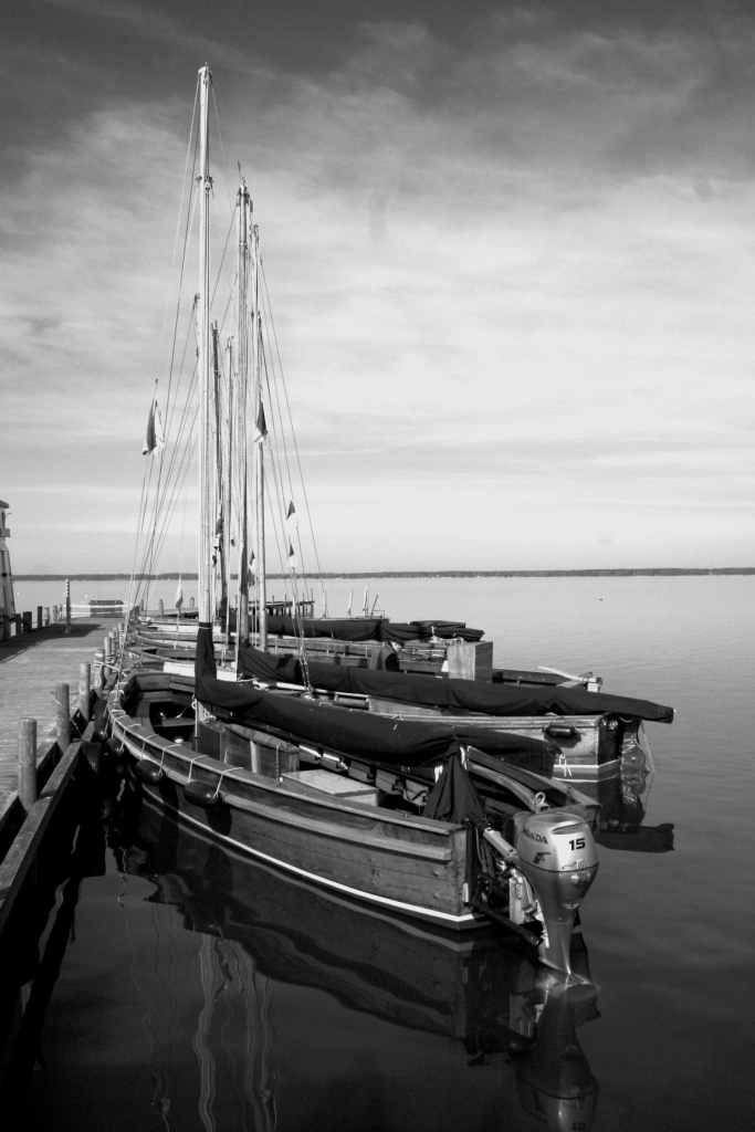 Segler am Steinhuder Meer