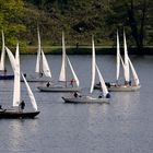 Segler auf dem Baldeneysee