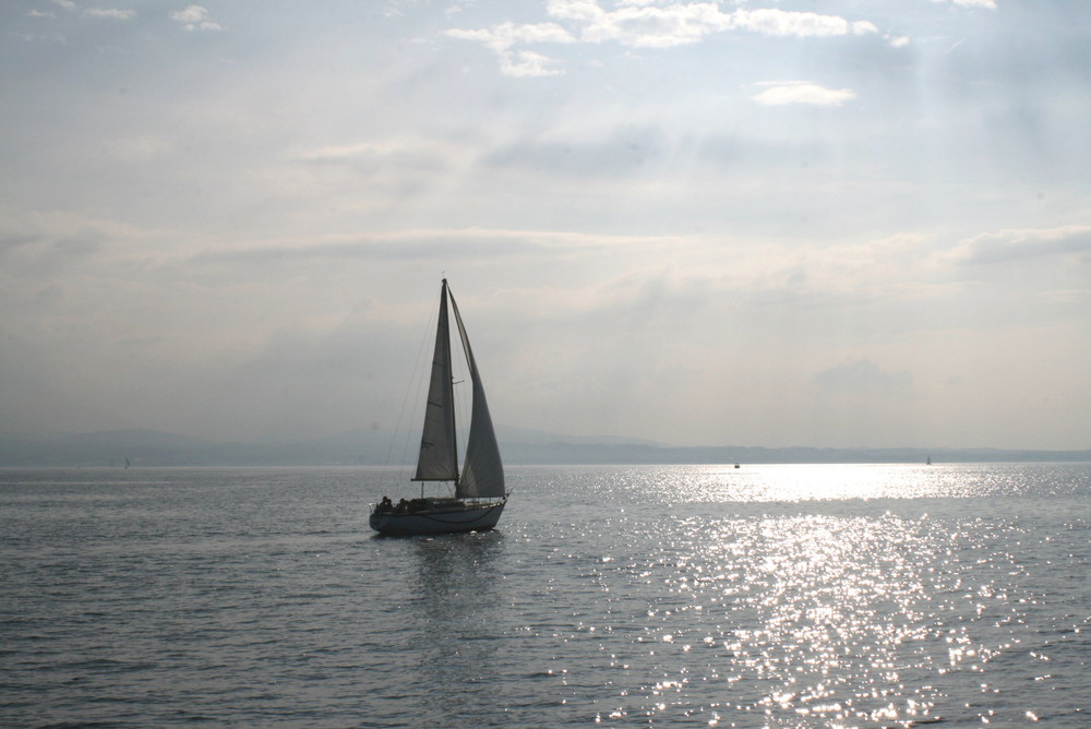 Segler auf dem Bodensee