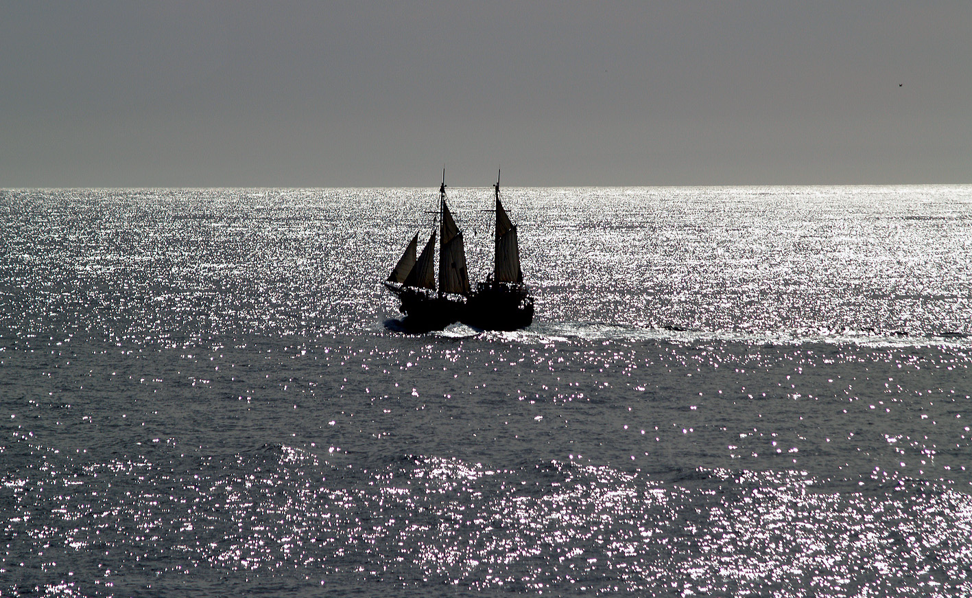 Segler auf dem durch das Abendlicht versilberten Atlantik.