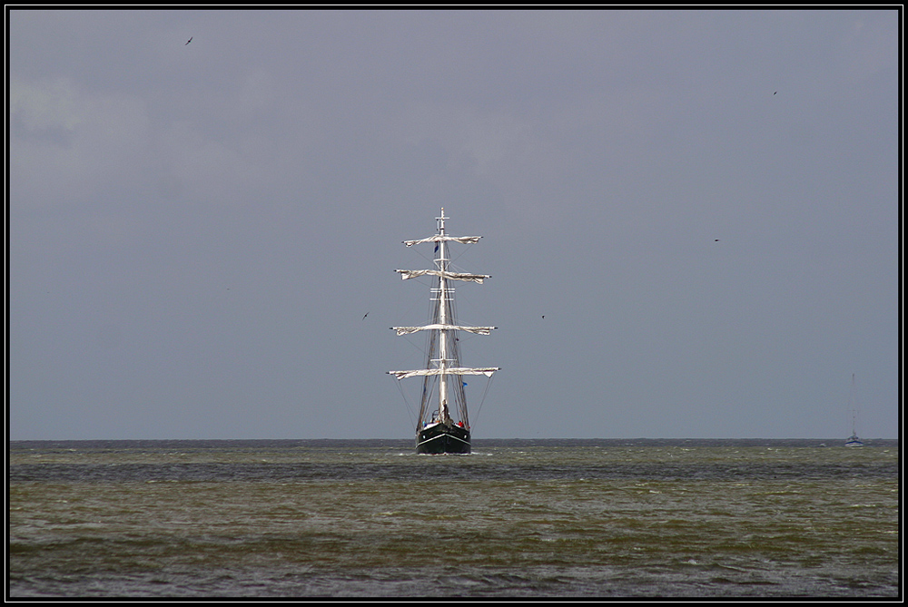 Segler auf dem Ijsselmeer