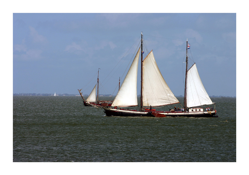 Segler auf dem Ijsselmeer_1