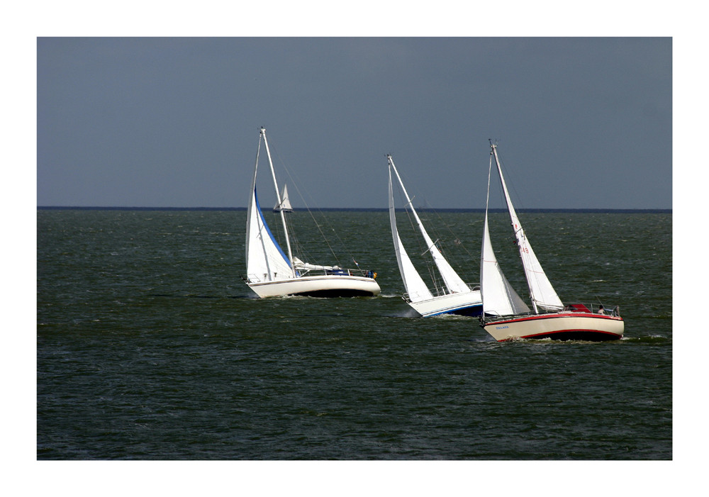 Segler auf dem Ijsselmeer_2