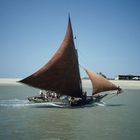 Segler auf dem Meer vor Sao Luiz - Maranhao