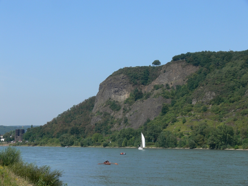 Segler auf dem Rhein