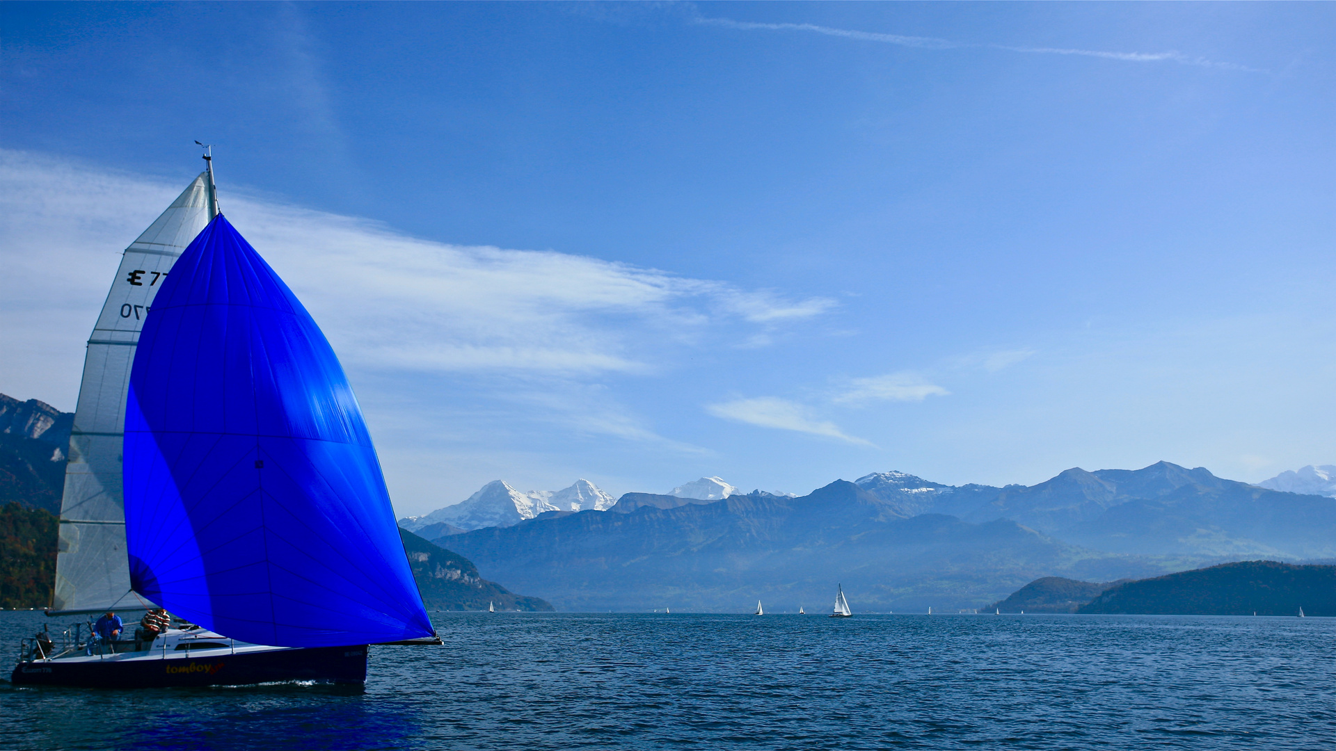 Segler auf dem Thunersee