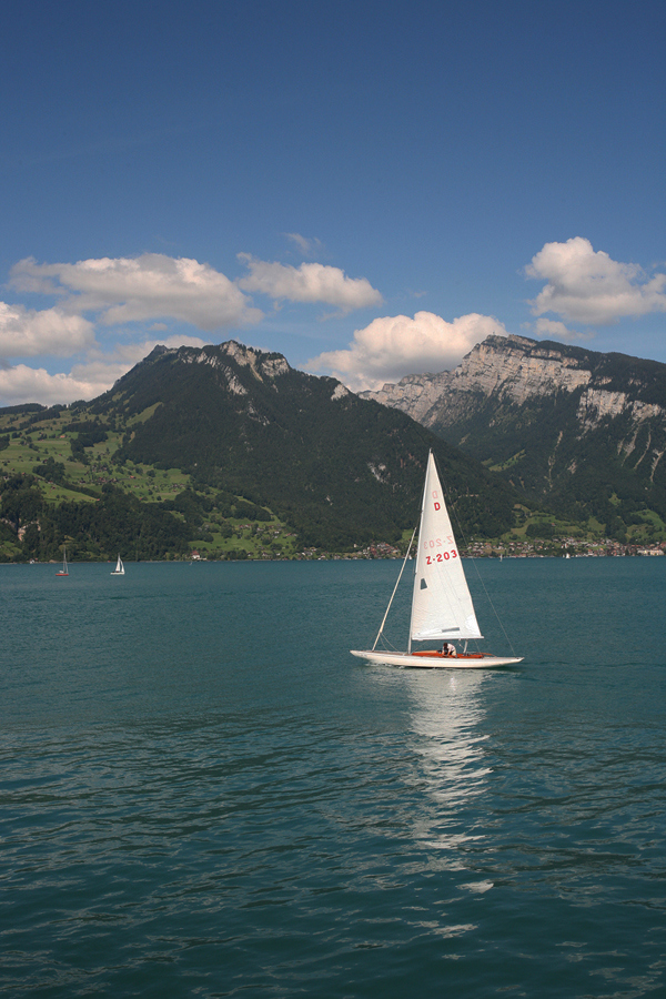 Segler auf dem Thunersee