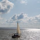 Segler auf den Bodden