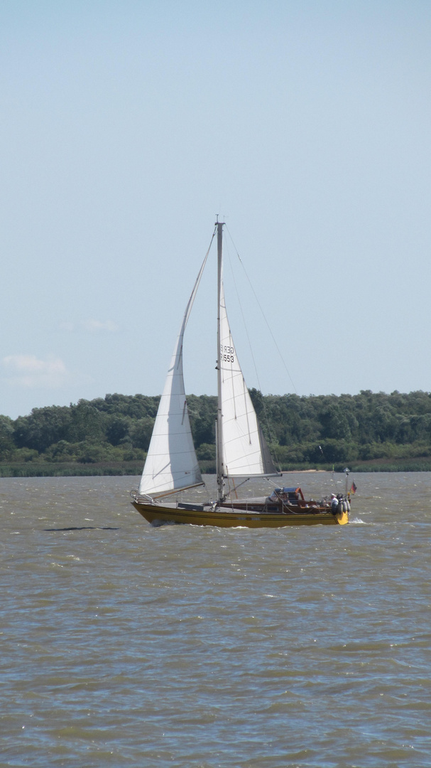 Segler auf der Elbe vor der Insel Krautsand