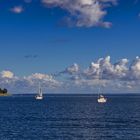 Segler auf der Ostsee vor Neustadt in Holstein