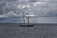 Segler auf der Weser