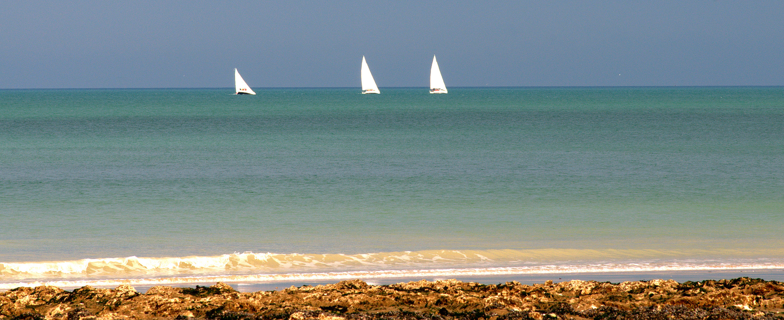 Segler bei Deauville