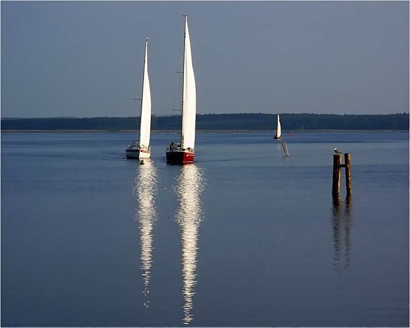 Segler im Abendlicht