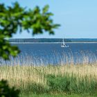  Segler im Achterwasser von Usedom