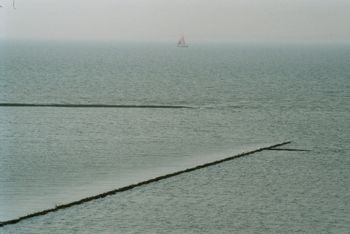 Segler im Wattenmeer.