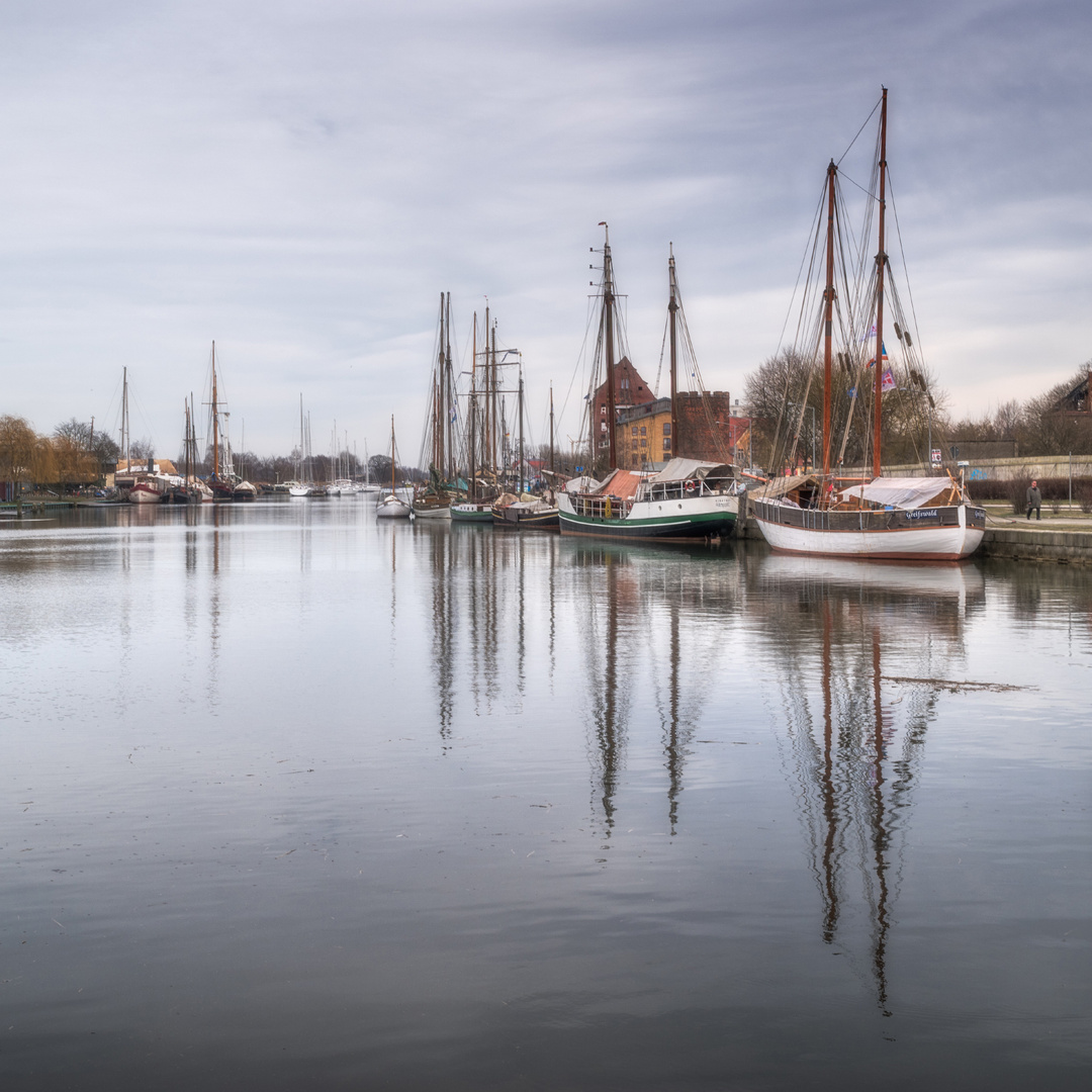 Segler in Greifswald