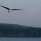 Segler über dem Blankensee