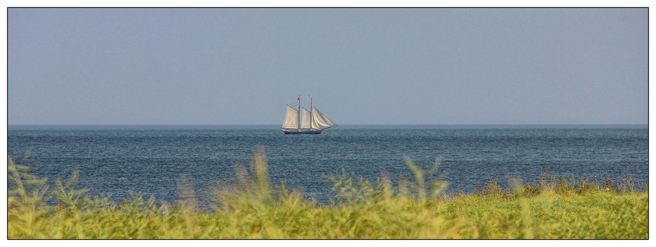 Segler vor Fehmarn