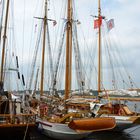 Segler während der Hanse Sail 2013 in Rostock