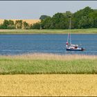 Seglerglück auf Rügen