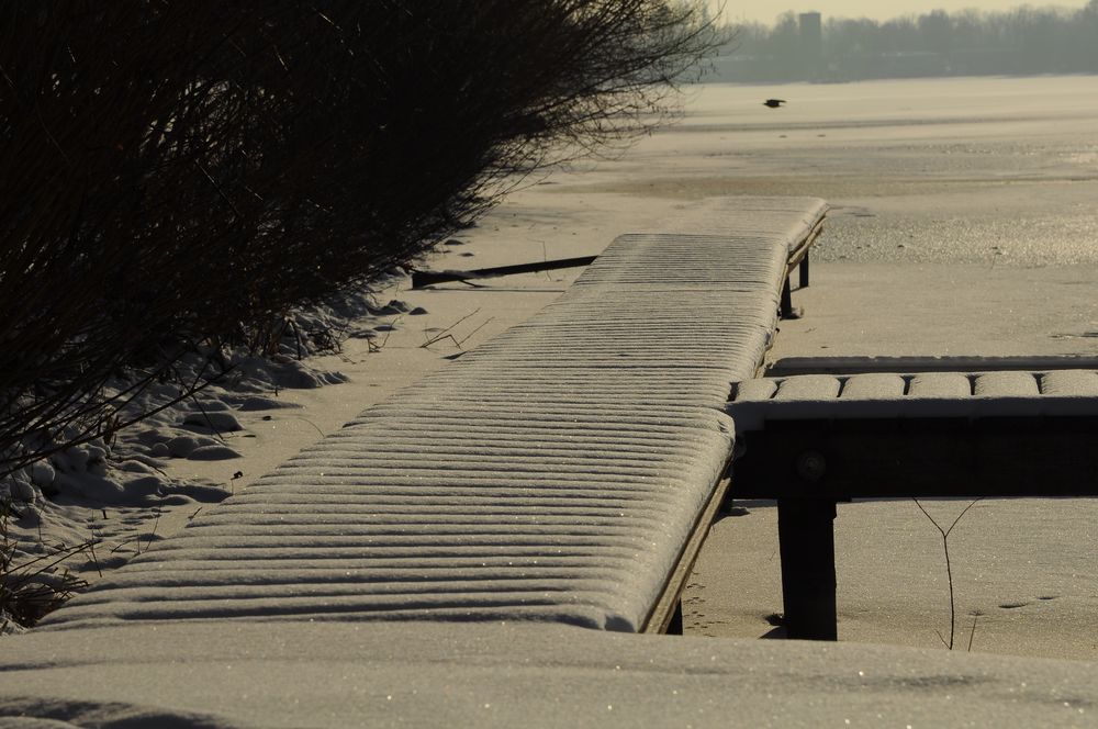 Seglersteg im Winterschlaf