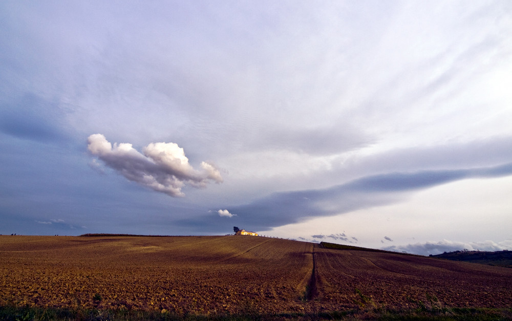 Segnali di fumo