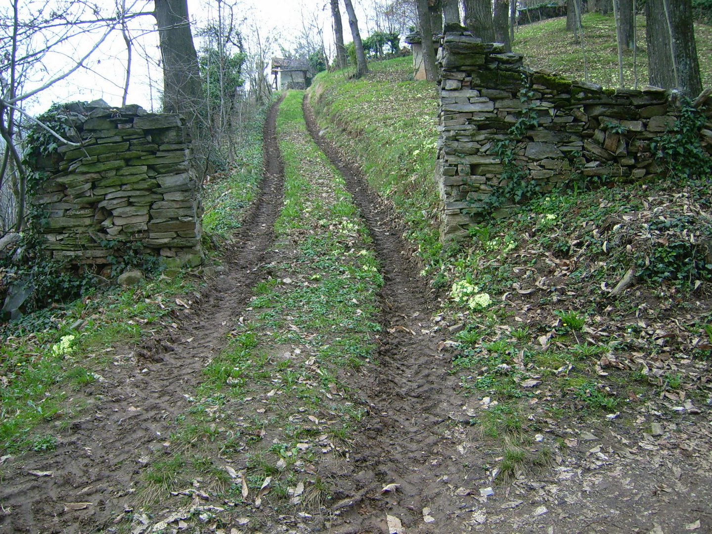 Segnali di un passaggio