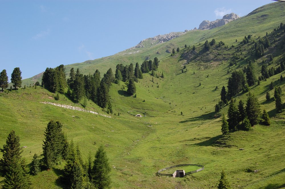 Segni alpini