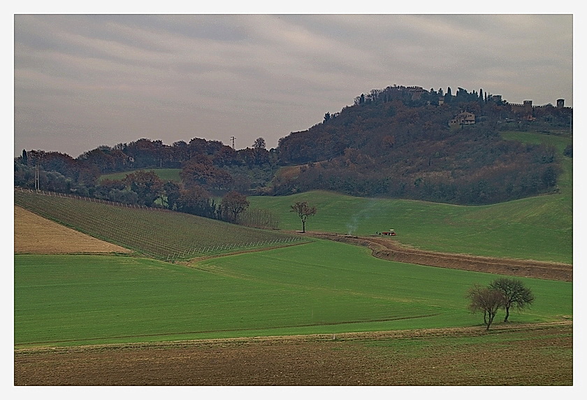 Segni di risveglio