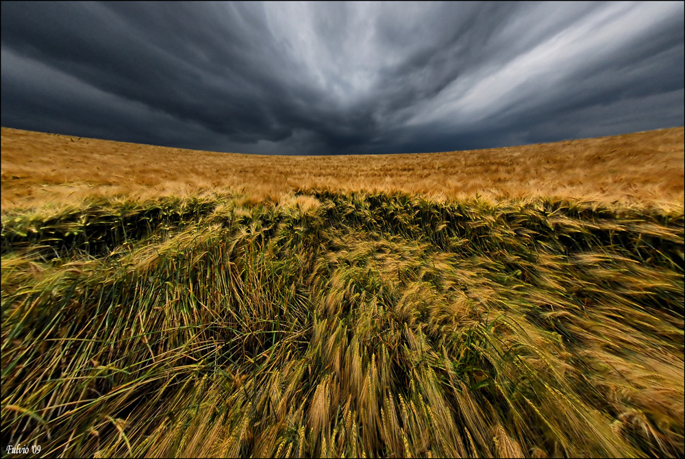 segni di tempesta