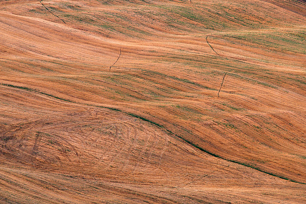 segni di terra