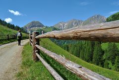 Seguendo lo steccato: "Arrivo in malga"