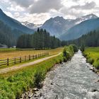 Seguendo lo steccato: "passeggiata del mattino"