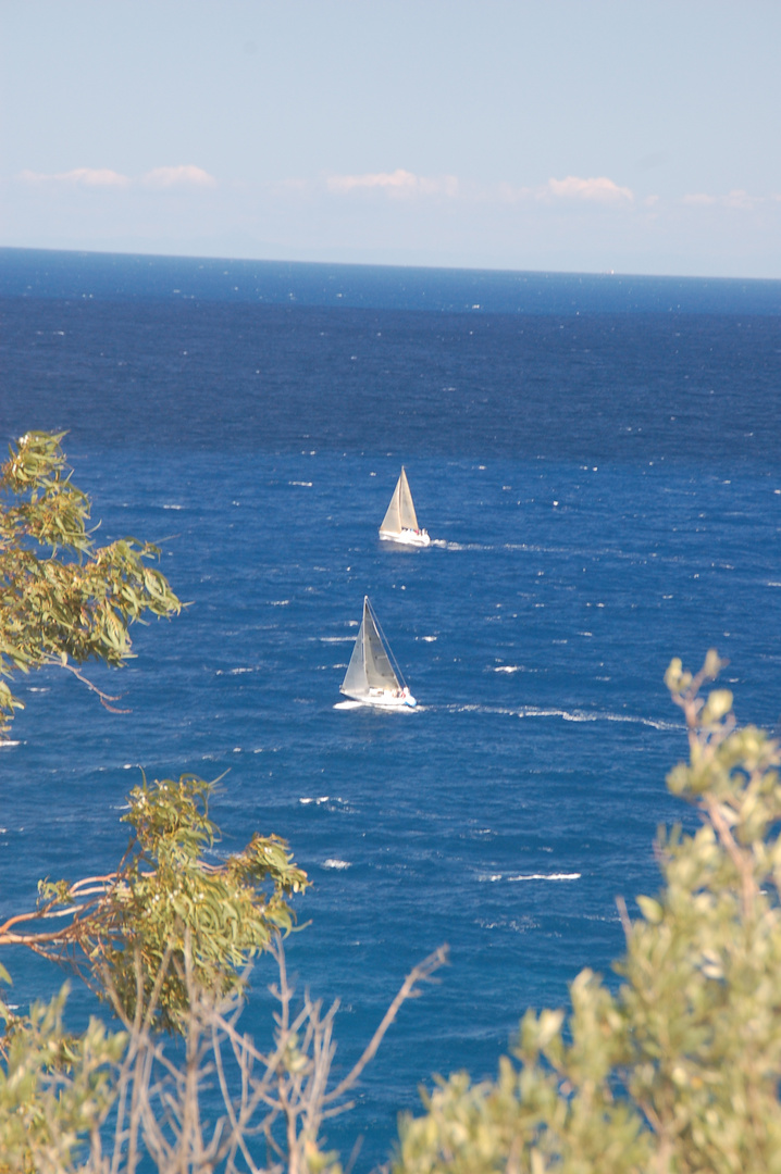 Seguendo una regata d'altura