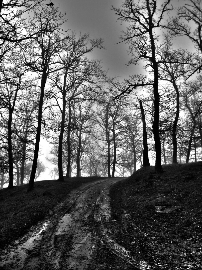 ...segui le tracce....incontrerai la tempesta.....