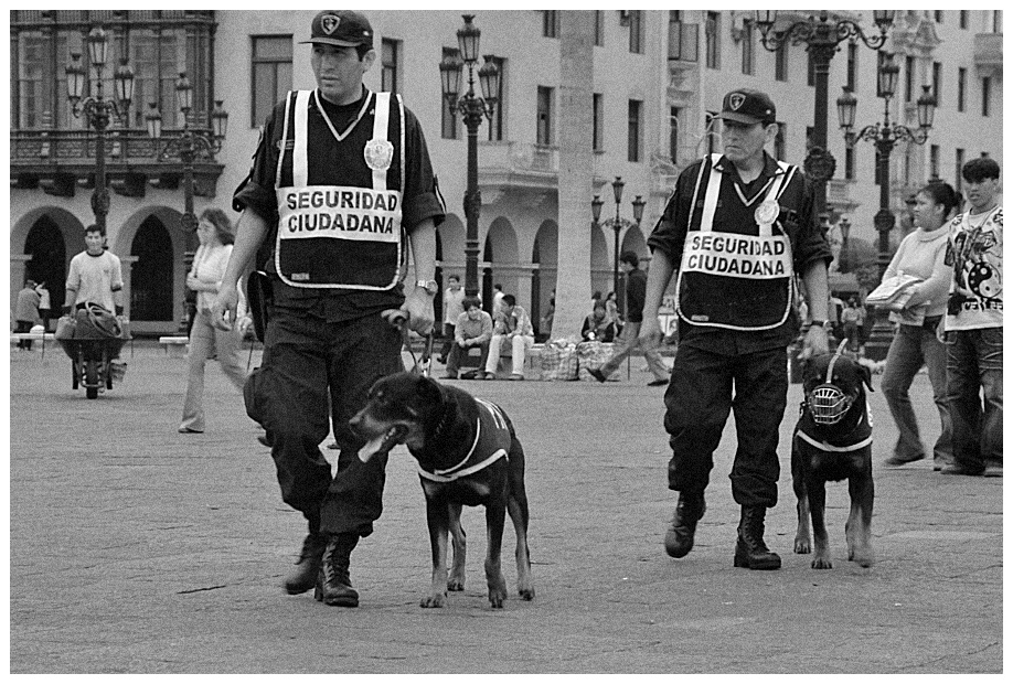 Seguridad Ciudadana