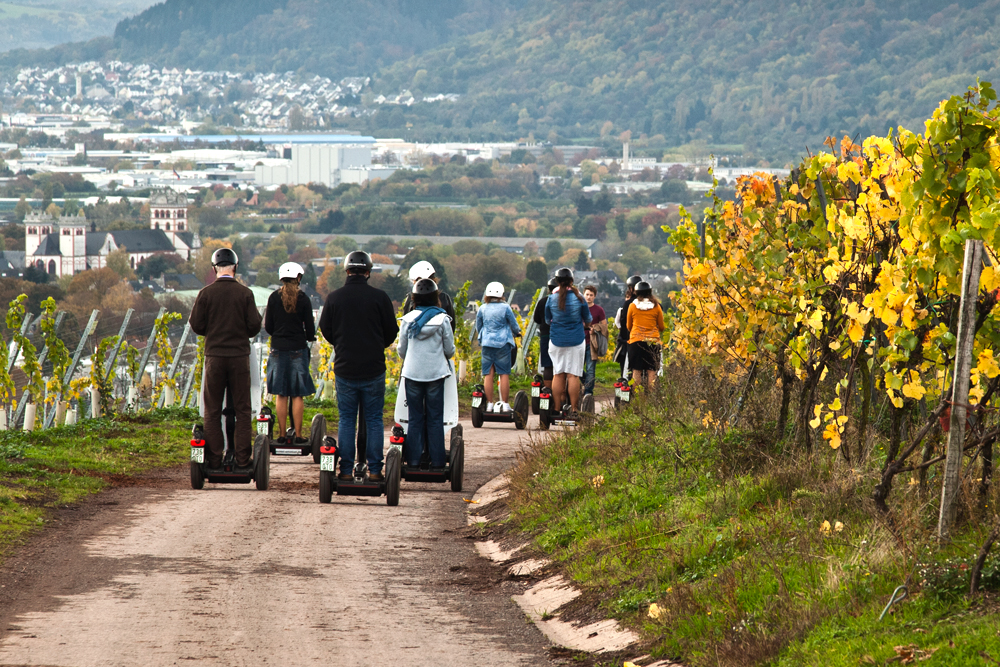 Segway-Invasion im Weinberg....