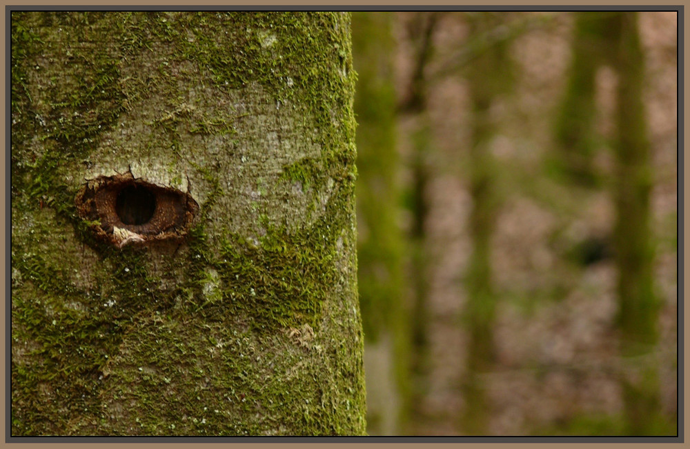 Sehen und gesehen werden...