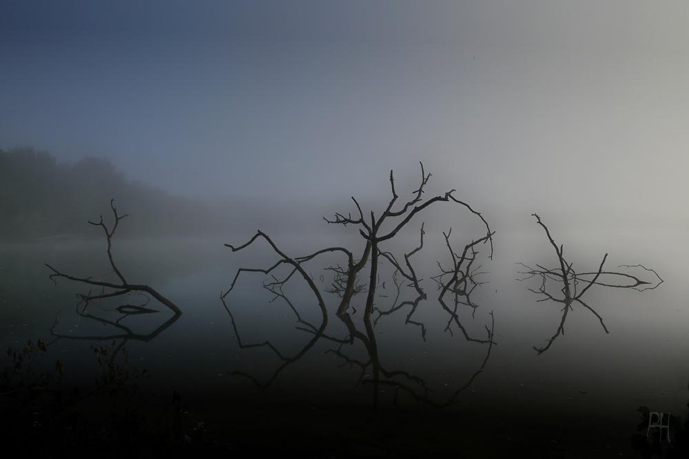 SehNebel - heute alles stark reduziert......